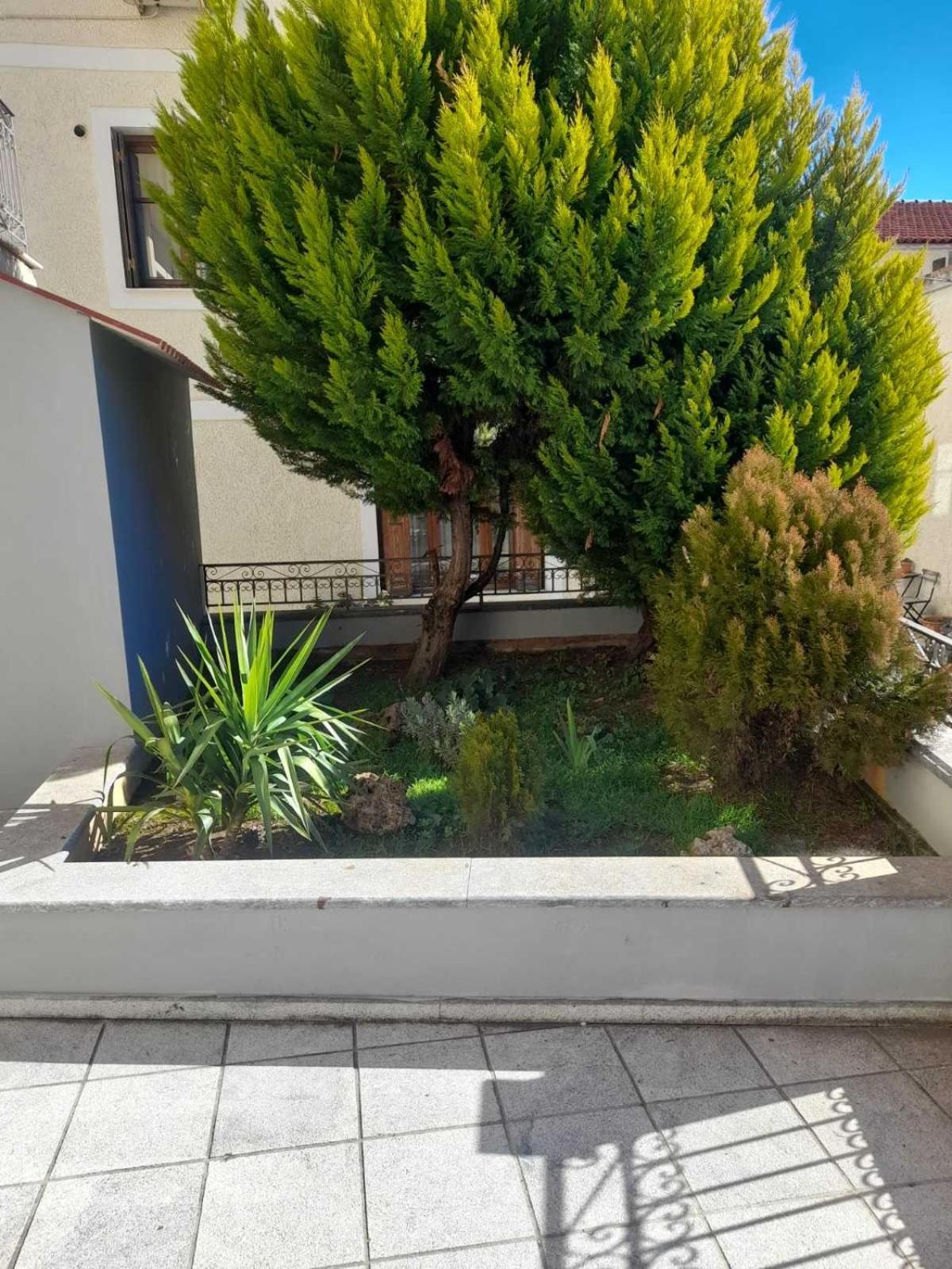 Blue Ρικεα Apartment Arachova Exterior photo